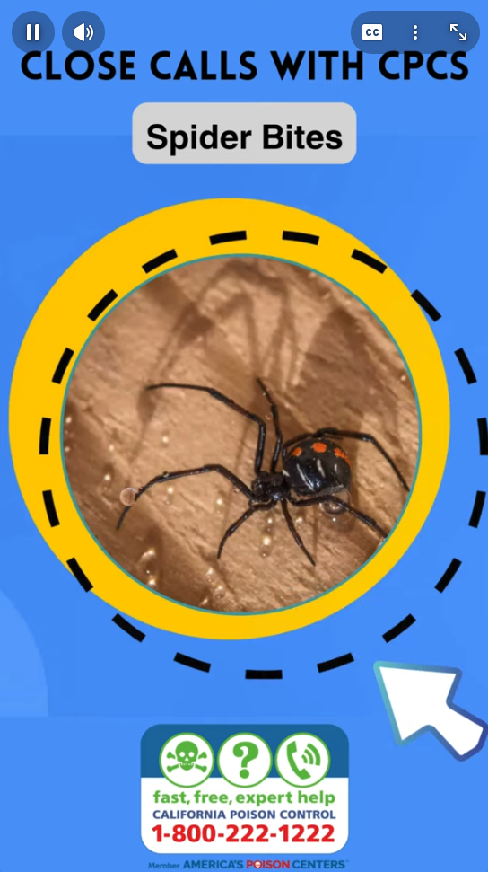 Screenshot displaying information about video series called Close Calls with CPCS on spider bites, including symptoms and treatment options.
